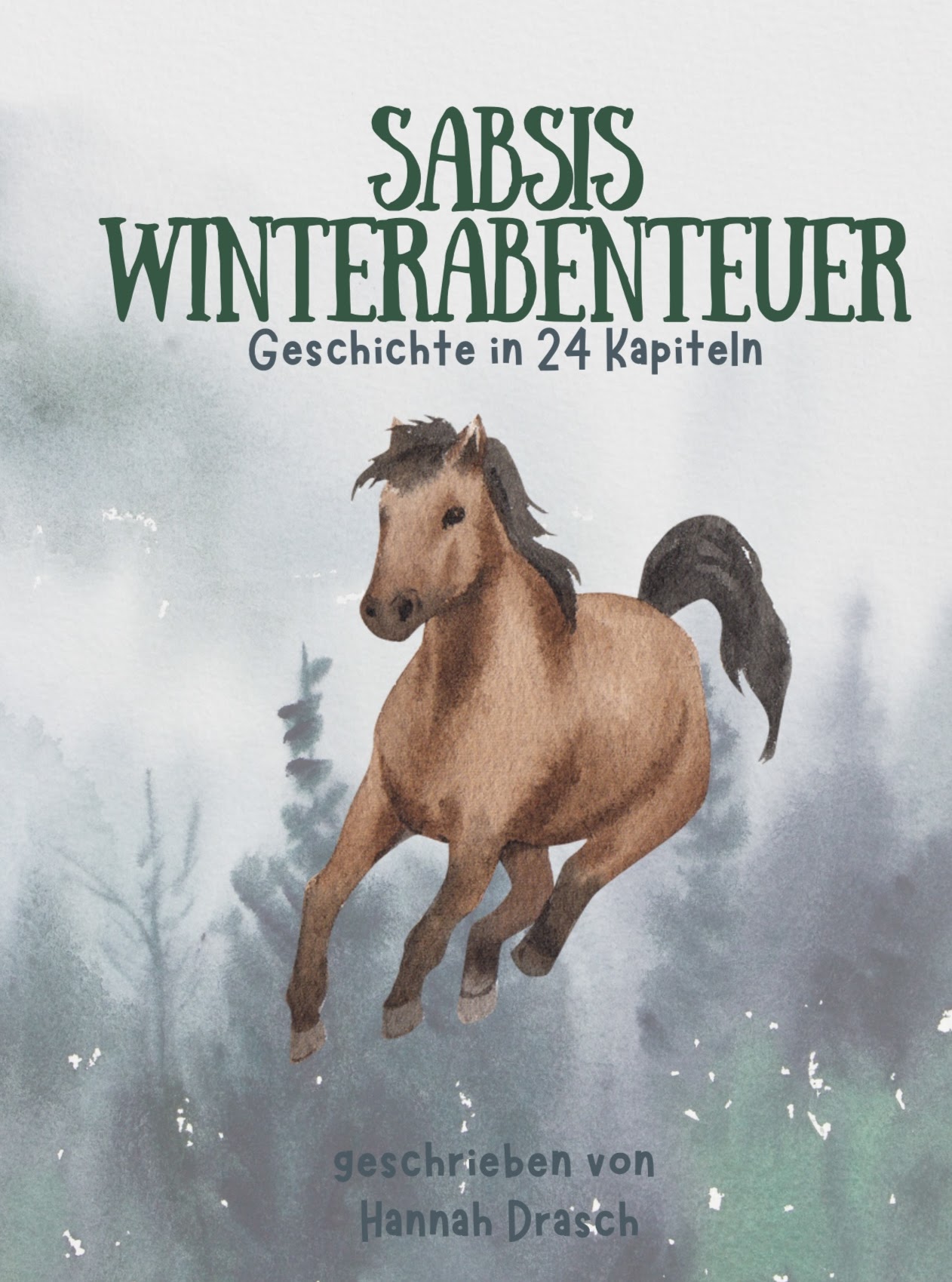 Sabsi Winterabenteuer Buch Cover